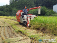 (동곡1리)아랫곡 | 달성군 동곡1리서 대구지역 올해 첫 벼 수확