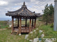 울릉산림직거래사업단 | 울릉군 시설물 관리 손놔