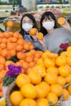 오렌지마트(주)아프로유통 | 농협유통 하나로마트, 청견 오렌지 첫 선보여