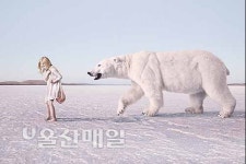 '2014 울산국제환경사진 페스티벌' 26일 개막신진작가전·주제전 참여 작가 17명 최종 확정