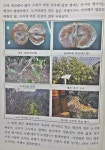 (주) 농업법인 선조백서 | 제주 '농작물 언 피해' 백서 발간