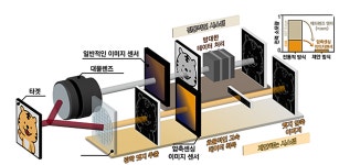 라이즈세종문고 | 세종 라이즈(RISE) 산‧학‧연 협력, 국제학술지 표지논문 '결실'