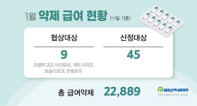 슈가트리·라베미니 등 신규 복합제 시장서 선전할까