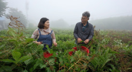 장곡산채슈퍼 | '동네한바퀴' 울릉도 물회·산채정식
