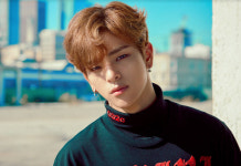 '스트레이키즈' 우진의 탈퇴와 함께 그의 프로필도 스트레이 키즈!