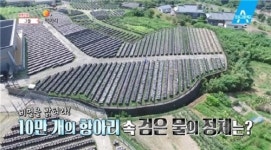 청솔옹기촌건강원 | 10만 개의 항아리가 품고 있는 200년 전통 건강법, ‘그들처럼 먹어라!’