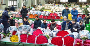 경창꽃직판장 | 졸업시즌 꽃 경매장 활기