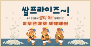 이쌀이다, 이푸른마켓 새벽배송 서비스 실시