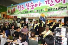 청도착한농장법인 | “제철 청도 복숭아 맛보세요”