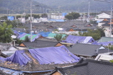 영남일보대구광고영업소 | 영남일보 선정 2016년 대구·경북 10대 뉴스