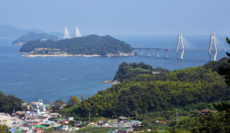 저도 29일부터 다시 연다