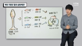 주)중외원색 | 색의 기원인 빛의 삼원색은?