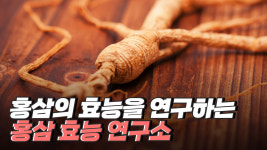 농업회사법인무성건강식품연구소(주) | 홍삼의 효능을 연구하는 홍삼 효능 연구소