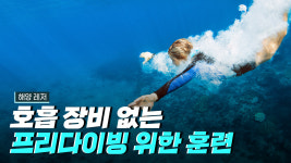 프리다이빙을 위한 다이빙 훈련