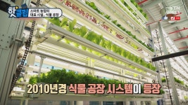 농업회사법인 리베로인터내셔날(주) 2공장 | 스마트 농업의 대표 시설, 식물 공장