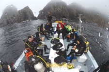 세계스킨스쿠버연맹남해지부 | SCUBA DIVING|동해로 갈까 서해로 갈까 남해로 갈까