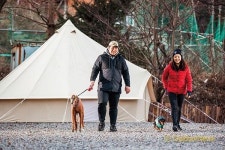 일야봉산장매점 | 추위야 물렀거라…가평 엘리스 산장