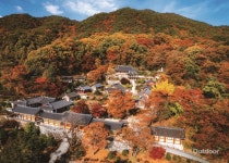 남도김치남부진주대리점 | 가을의 색을 품은 단풍 명소
