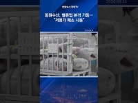 동원수산(주)제1공장 | 동원수산, 밸류업 본격 가동…"저평가 해소 시동"
