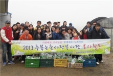 보조개자원봉사단 | 농촌사랑자원봉사단, 농촌일손돕기 활동