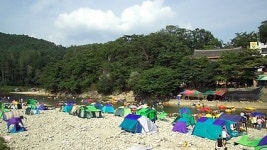 제천 9경(景) 탁사정 올해는 시유화 되나