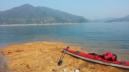 코레일유통충주역 | 코레일 충주역 내일로 다양한 혜택 눈길