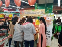 용부원2리죽령농특산물판매장 | 단고을 죽령사과 베트남 시장 공략 나서