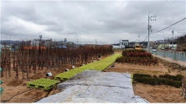 청주산림조합(4종) | 청주산림조합, 나무전시장 개장