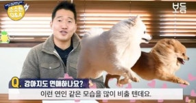 “유독 붙어다니는데” 강아지도 연애하냐는 질문에 강형욱 훈련사 대답 (영상)