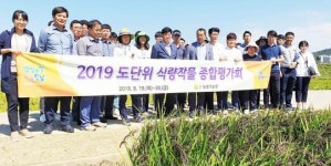 전남도농업기술원, 2019년 식량작물 종합평가회 개최