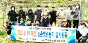 보성농업협동조합미력지점 | 보성군 청년농업인 코로나19 극복위해 일손 보태…