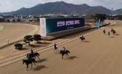 리앤이라마띠네부산경마공원조교사협회구내식당 | 렛츠런파크 부산경남, 경마현장 재해예방을 위한‘조교관리책임제’신설