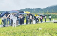 전남도농업기술원, ‘2025년 식량작물 종합평가회’ 개최