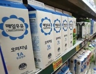 남양유업 빙그레 파주대리점 | 남양유업·빙그레, 광고선전비 등 비용 감축…매일유업만 증가 '왜?'