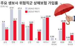 흥국생명보험용인연수원주 | 상생금융 무색…교보·흥국 등 중대형 생보사, 위험직군 가입 문턱 더 높여