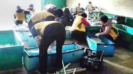삼도2동-통장협의회 환경정비 활동
