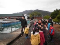 K-water 동화권관리단, 동화댐 상류 자연정화활동