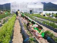 지리산 허브체험곤광농원 관광객 맞이 꽃단장