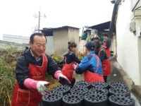 날으는곰금암동지점 | 새마을금고 금암지점, 저소득 위한 연탄나눔 봉사 실시