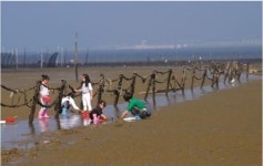 한국농어촌공사, 전북어촌특화지원센터, 도내 어촌체험마을 SNS 집중홍보 실시