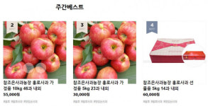 '진안고원 명품사과' 라이브커머스 대박