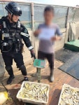 나포원조건강원 | 군산해경, 제한조건 위반 중국어선 3척 나포