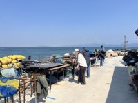 군산시, 두리도 해안 정화 활동으로 깨끗한 섬 가꿔