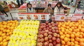 삐삐언니네과일샵 | 고삐 풀린 과일·채솟값…오름세 지속 전망