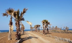 '대섬' 불법개발 충격파...공무원 묵인, 감찰도 안했다