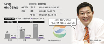 지에스(GS)안양아이메디점 | GS그룹의 변신, 휴젤 이어 메디트까지…허태수의 바이오 빅딜
