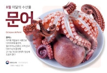 8월 이달의 수산물 '장어류·문어'