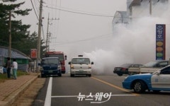 해남지역자활센터싹다방역 | 해남군, 일본뇌염 방역 소독 강화