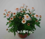 진주시청자율회 | 경남 진주에서 ‘우리 꽃 전시회’ 성황