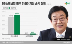 디비씨앤에스자동차손해사정(주) | DB손보, 美하와이 손해사정회사 인수 추진